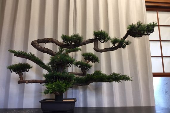 無碍の一道を視覚化しました。