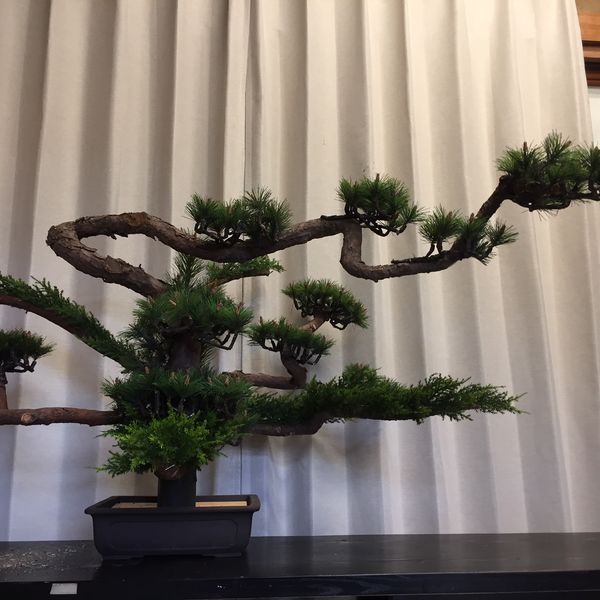 無碍の一道を視覚化しました。